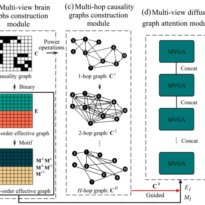 A Prior Causality‐Guided Multi‐View Diffusion Network for Brain Disorder Classification