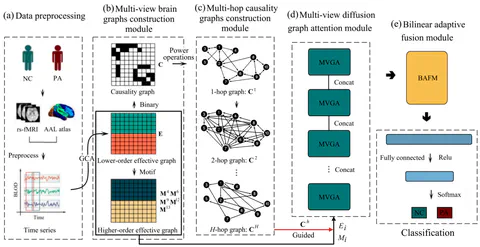 A Prior Causality‐Guided Multi‐View Diffusion Network for Brain Disorder Classification
