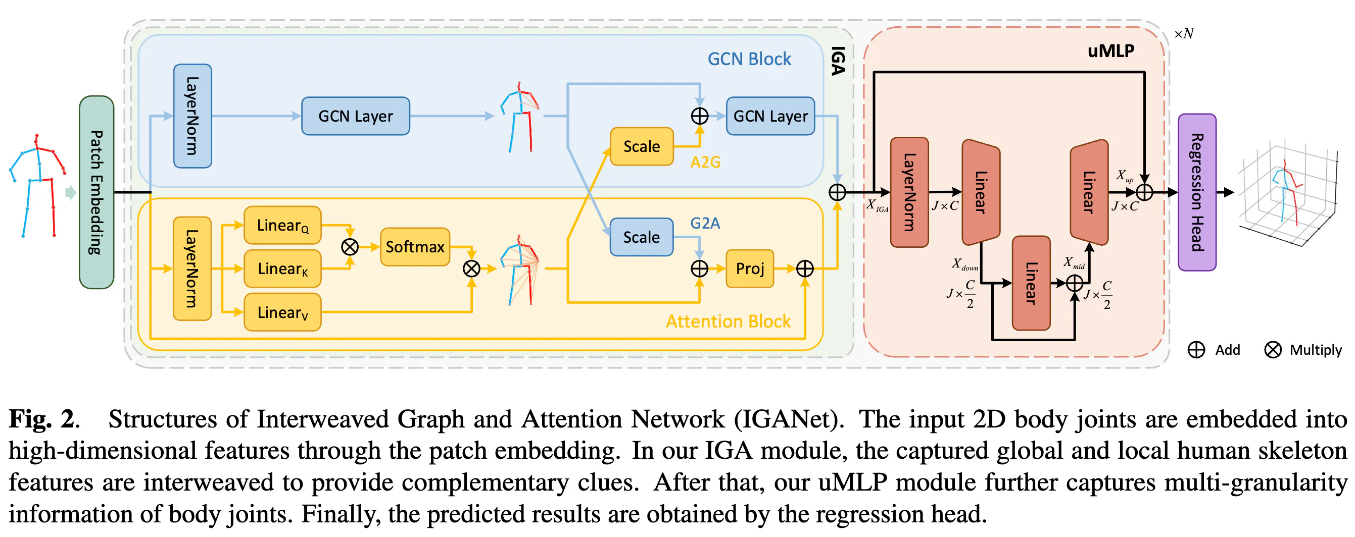 Interweaved Graph and Attention Network for 3D Human Pose Estimation