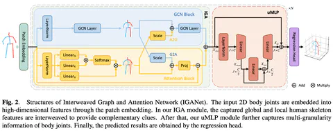 Interweaved Graph and Attention Network for 3D Human Pose Estimation