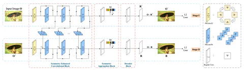 Self-Refining Deep Symmetry Enhanced Network for Rain Removal
