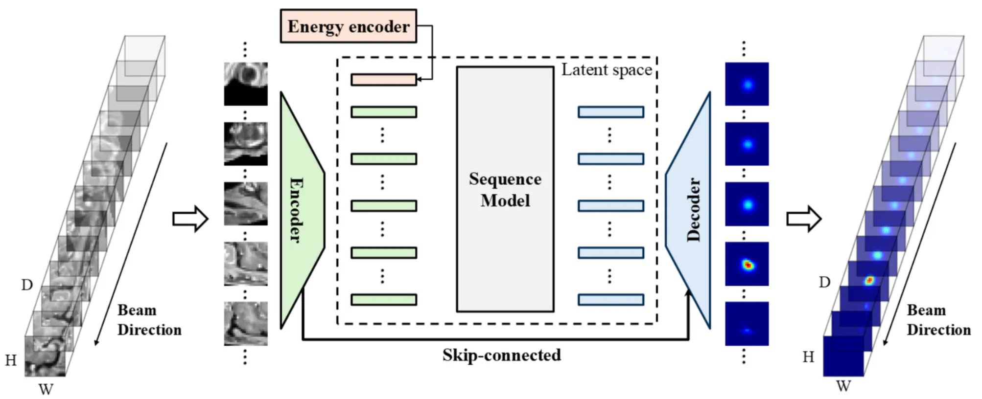 A proof-of-concept study of direct magnetic resonance imaging-based proton dose calculation for brain tumors via neural networks with Monte Carlo-comparable accuracy
