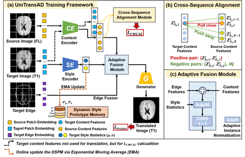 UniTransAD: Unified Translation Framework for Anomaly Detection in Brain MRI